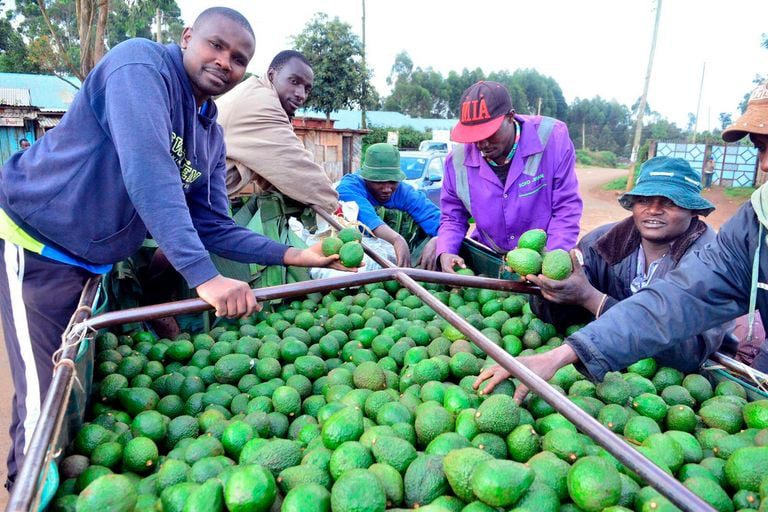 Hits and misses for agriculture a decade after devolution