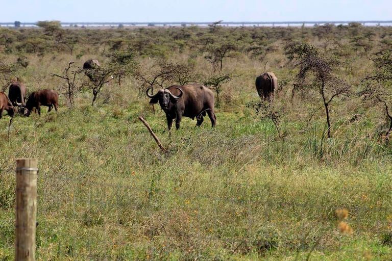 KWS plan to triple park entry fees from January