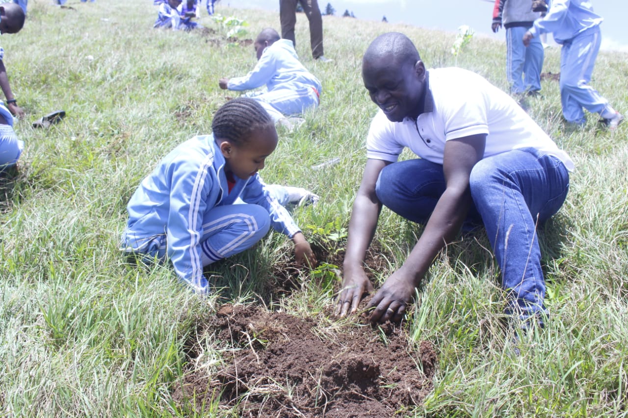 An Initiative to plant trees developed by teachers and students